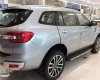 Ford Everest  2.0AT  2019 - Bán Ford Everest đời 2019, màu bạc, nhập khẩu