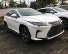 Lexus RX 350L 2018 - Bán Lexus RX 350L, xe mới 100%