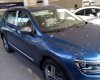 Volkswagen Tiguan All Space 2018 - Bán Volkswagen Tiguan All Space đời 2018, màu xanh lam, xe nhập