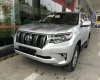 Toyota Prado VX 2019 - Cần bán Toyota Prado VX 2019, màu bạc, nhập khẩu