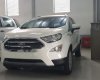 Ford EcoSport   2019 - Cần bán Ford EcoSport năm 2019, màu trắng