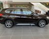 BMW X1 2019 - Bán ô tô BMW X1 năm sản xuất 2019, màu nâu, nhập khẩu nguyên chiếc