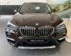 BMW X1 2019 - Bán ô tô BMW X1 năm sản xuất 2019, màu nâu, nhập khẩu nguyên chiếc