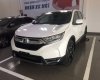 Honda CR V   L  2019 - Bán Honda CRV đủ màu giao ngay một nốt nhạc