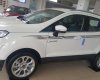 Ford EcoSport 2019 - Cần bán xe Ford EcoSport sản xuất 2019, giá chỉ 545 triệu