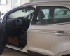 Ford EcoSport 2019 - Cần bán xe Ford EcoSport sản xuất 2019, giá chỉ 545 triệu