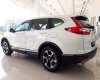 Honda CR V  L 2019 - Cần bán Honda CR V L năm 2019, màu trắng, nhập khẩu