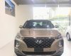 Hyundai Santa Fe 2019 - Bán Hyundai Santa Fe sản xuất năm 2019
