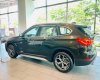 BMW X1 sDrive18i 2018 - Cần bán xe BMW X1 sDrive18i sản xuất năm 2018, màu nâu, xe nhập