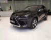 Lexus NX   300 2019 - Bán xe Lexus NX 300 sản xuất 2019, màu đen, nhập khẩu