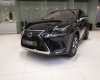 Lexus NX   300 2019 - Bán xe Lexus NX 300 sản xuất 2019, màu đen, nhập khẩu