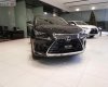Lexus NX   300 2019 - Bán xe Lexus NX 300 sản xuất 2019, màu đen, nhập khẩu