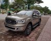 Ford Everest 2019 - Bán ô tô Ford Everest đời 2019, nhập khẩu, 900 triệu