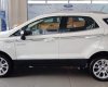 Ford EcoSport   1.5L Titanium  2019 - Bán xe Ford EcoSport 1.5L Titanium đời 2019, màu trắng, 618tr