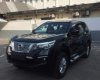Nissan X Terra 2018 - Bán Nissan X Terra sản xuất 2018, màu đen, nhập khẩu Thái Lan số sàn, giá 899tr