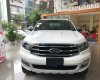 Ford Everest   2019 - Bán Ford Everest năm sản xuất 2019, màu trắng, nhập khẩu nguyên chiếc giá cạnh tranh