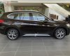 BMW X1 2019 - Cần bán xe BMW X1 đời 2019, màu nâu, xe nhập