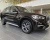 BMW X1 2019 - Cần bán xe BMW X1 đời 2019, màu nâu, xe nhập
