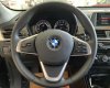 BMW X1 2019 - Cần bán xe BMW X1 đời 2019, màu nâu, xe nhập