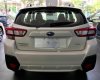 Subaru XV 2.0i-S EyeSight 2019 - Bán xe Subaru XV 2.0i-S EyeSight 2019, màu trắng, nhập khẩu