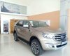 Ford Everest   Titanium AT 2019 - Bán Ford Everest Titanium AT sản xuất 2019, nhập khẩu nguyên chiếc