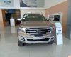 Ford Everest   Titanium AT 2019 - Bán Ford Everest Titanium AT sản xuất 2019, nhập khẩu nguyên chiếc