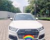Audi Q5   2017 - Bán xe Audi Q5 sản xuất 2017, đi được 17.000km, giấy tờ đảm bảo