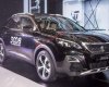 Peugeot 3008   1.6 AT   2019 - Bán ô tô Peugeot 3008 1.6 AT sản xuất năm 2019, xe nhập