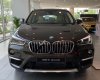 BMW X1 sDrive18i 2018 - Bán xe BMW X1 sDrive18i đời 2018, màu nâu, nhập khẩu nguyên chiếc