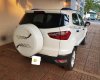 Ford EcoSport 2017 - Bán Ford EcoSport sản xuất 2017, màu trắng, giá tốt