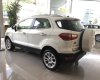 Ford EcoSport 1.5L AT Trend 2019 - Giảm giá Ford Ecosport 2019, mới 100% giá cực rẻ, tặng phụ kiện, hỗ trợ trả góp 80% 