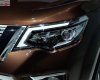 Nissan X Terra E 2019 - Cần bán Nissan X Terra E năm 2019, màu nâu, nhập khẩu nguyên chiếc
