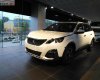 Peugeot 3008 2019 - Bán ô tô Peugeot 3008 sản xuất 2019, màu trắng