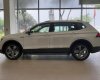 Volkswagen Tiguan Allspace 2019 - Volkswagen Tiguan trắng ngọc trai - 2019 - Trả trước chỉ từ 345 triệu - Ưu đãi tháng 5