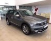 Volkswagen Tiguan   2019 - Bán Volkswagen Tiguan 2019, màu xám, nhập khẩu