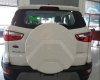 Ford EcoSport 2019 - Cần bán xe Ford EcoSport đời 2019, màu trắng