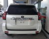 Toyota Prado VX 2.7L 2019 - Bán xe Toyota Prado VX 2.7L năm 2019, màu trắng, nhập khẩu Nhật Bản