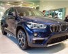 BMW X1 sDrive18i 2018 - Bán xe BMW X1 tại Đắk Lắk - Xe mới chưa đăng ký