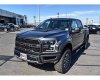 Ford F 150 Raptor 2019 - Cần bán xe Ford F 150 Raptor 2019, nhập khẩu nguyên chiếc, xe đặt cọc