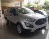 Ford EcoSport   2019 - Bán Ford EcoSport 2019, màu bạc, nhập khẩu nguyên chiếc 