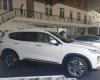 Hyundai Santa Fe  Premium 2019 - Bán xe Hyundai Santa Fe Premium 2019, màu trắng