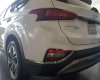 Hyundai Santa Fe  Premium 2019 - Bán xe Hyundai Santa Fe Premium 2019, màu trắng