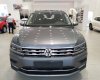 Volkswagen Tiguan G 2019 - Cần bán xe Volkswagen Tiguan G đời 2019, màu xám, xe nhập