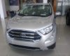 Ford EcoSport 2019 - Cần bán xe Ford EcoSport năm sản xuất 2019, giá chỉ 635 triệu