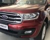 Ford Everest Ambiente MT 2019 - Ford Everest Ambiente 2019, nhập khẩu giá sốc tháng 5/2019