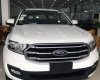 Ford Everest 2019 - Bán ô tô Ford Everest năm 2019, màu trắng, nhập khẩu nguyên chiếc, giá chỉ 979 triệu