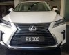 Lexus RX 300 2019 - Bán xe Lexus RX 300 đời 2019, màu trắng, xe nhập