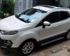Ford EcoSport 1.5L Titanium 2017 - Bán Ford EcoSport 1.5L Titanium sản xuất 2017, màu trắng, nhập khẩu