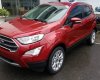 Ford EcoSport   1.5L AT titnium  2019 - Bán xe Ford EcoSport 1.5L AT titnium đời 2019, màu đỏ