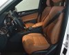Mercedes-Benz GLS GLS400  2017 - Bán Meccede GLS400 đời 2017 nhập Mỹ